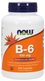 B-6   100 mg