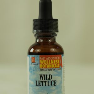 Wild Lettuce