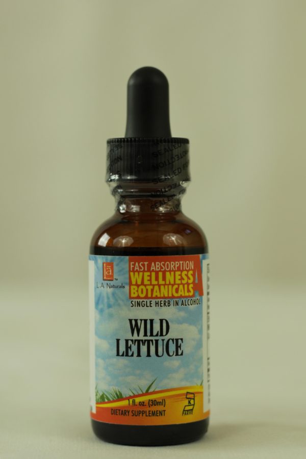 Wild Lettuce